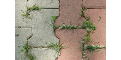 Защита тротуарного покрытия от прорастания травы